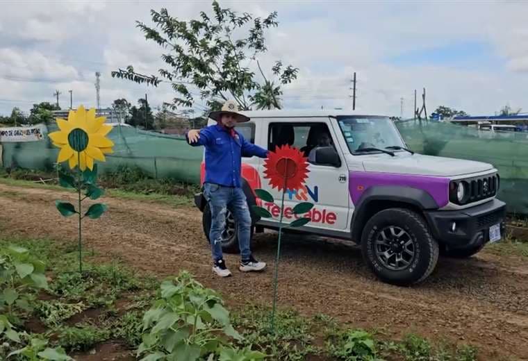Entre girasoles y conexión: una historia que florece en Pital