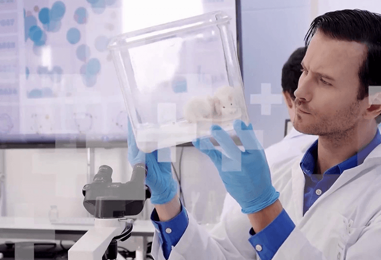 Nuevo hallazgo para frenar la osteoporosis