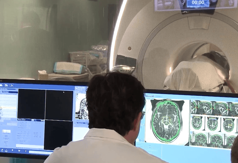Descubren proteína clave contra el Parkinson