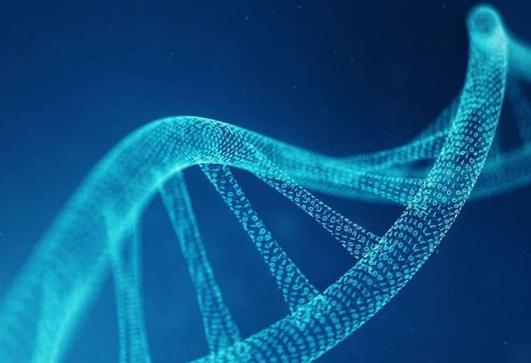 Cómo es el proyecto que busca crear ADN humano artificial