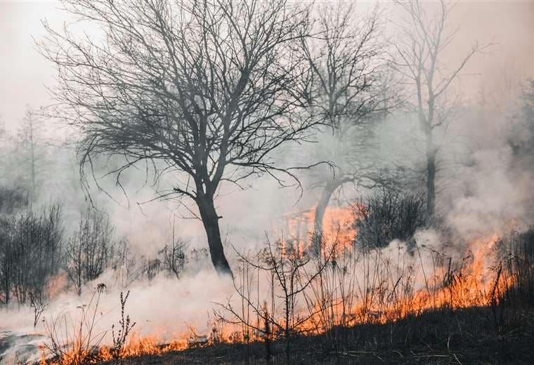 Incendio en el sur de Francia destruye 2.000 hectáreas de bosque